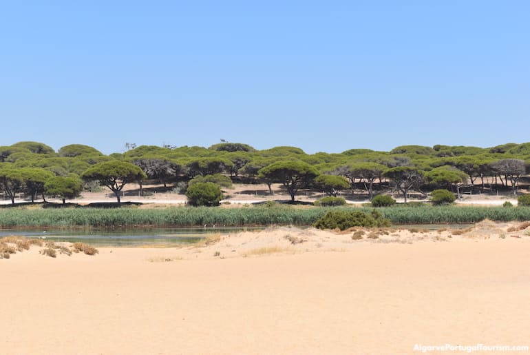 Praia do Almargem, Loulé