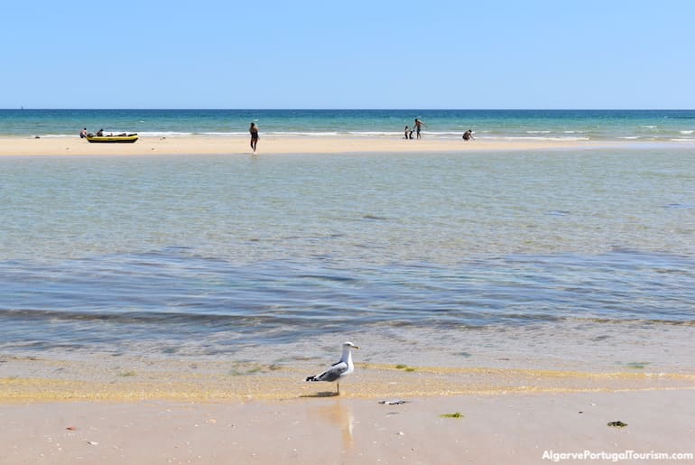 Fuseta Island beach, Algarve