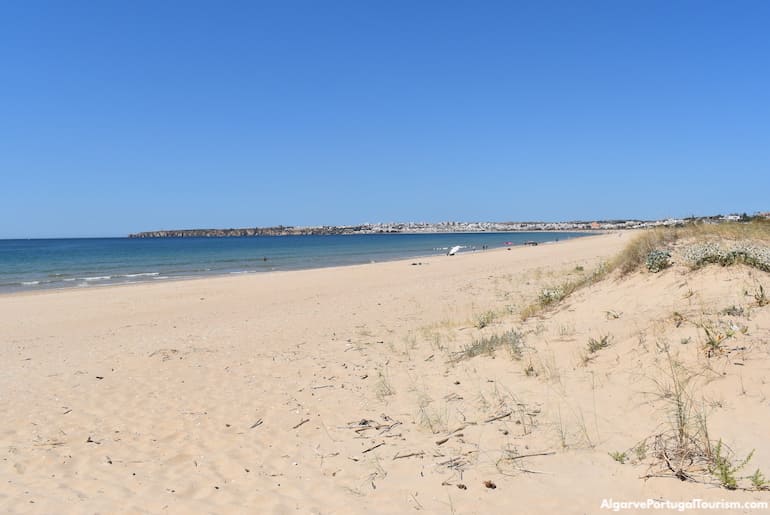 Meia Praia, Algarve