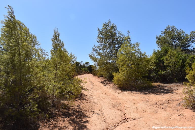 Path to Praia do Barranquinho, Algarve