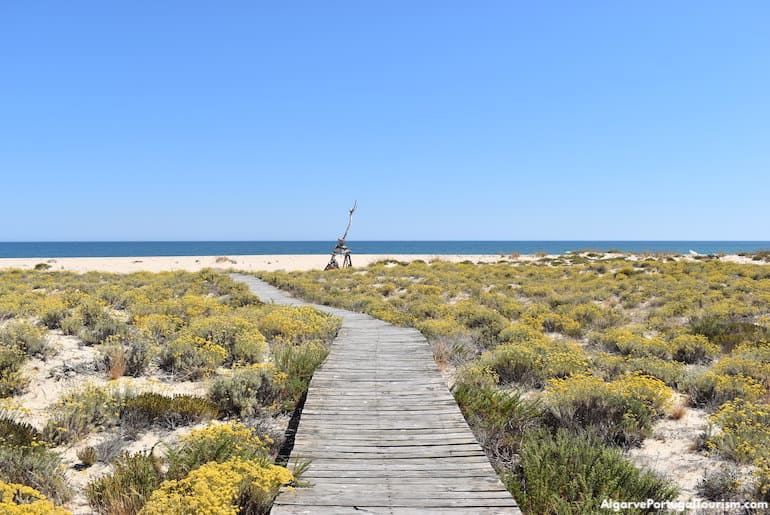 Desert Island in the Ria Formosa Natural Park, Algarve