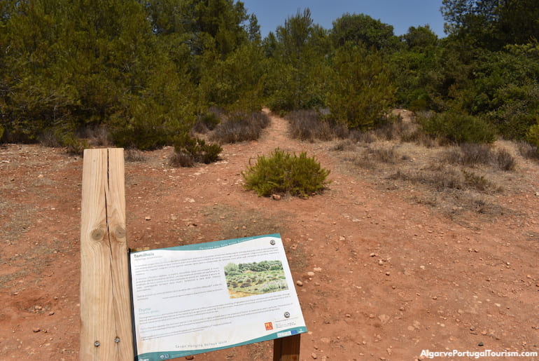 Display on the Seven Hanging Valleys trail, Algarve
