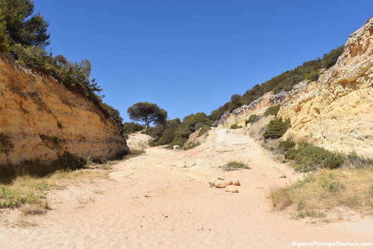 O caminho para a Praia do Barranquinho, Algarve